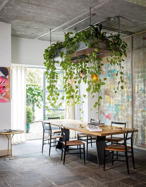 Las plantas de interior colgantes más decorativas para tu casa - Foto 1 Indoor Plant Wall, Hanging Plant Wall, Hanging Plants Indoor, House Plants Indoor, Hanging Gardens, Indoor Herbs, Diy Hanging, Indoor Gardening, Hanging Planters