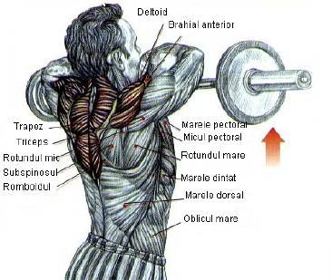 pierde în greutate 5kg în 5 zile pierderea în greutate este egală