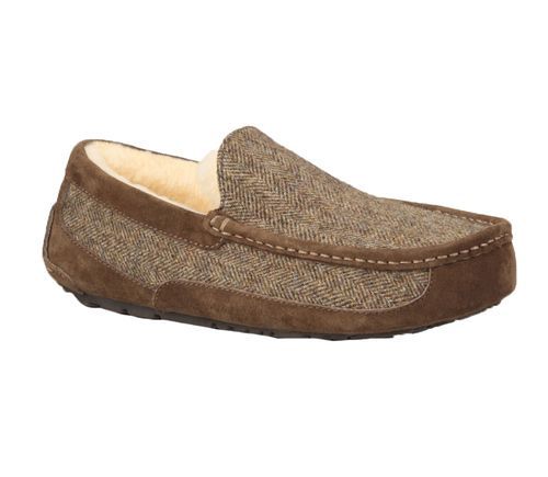 ugg ascot stout ugg ascot stout