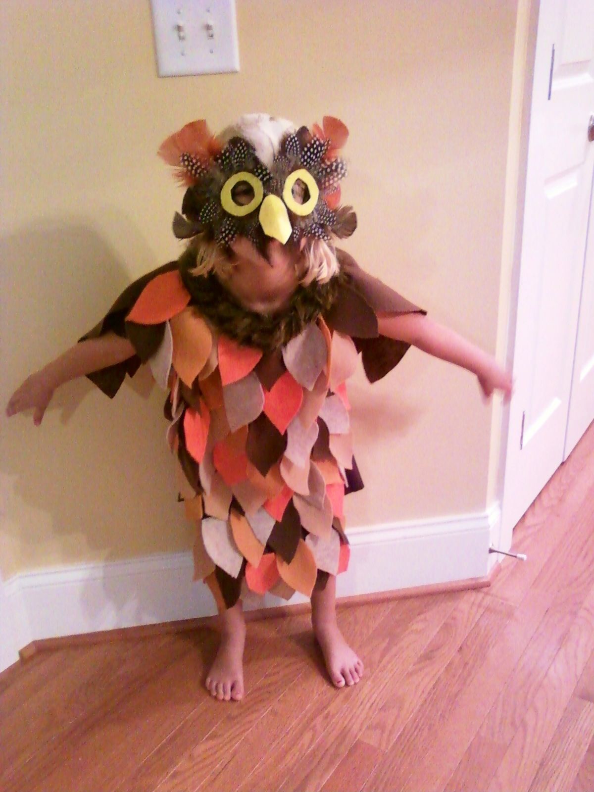 Homemade owl costume! | Owl costume, Summer dresses, Costumes