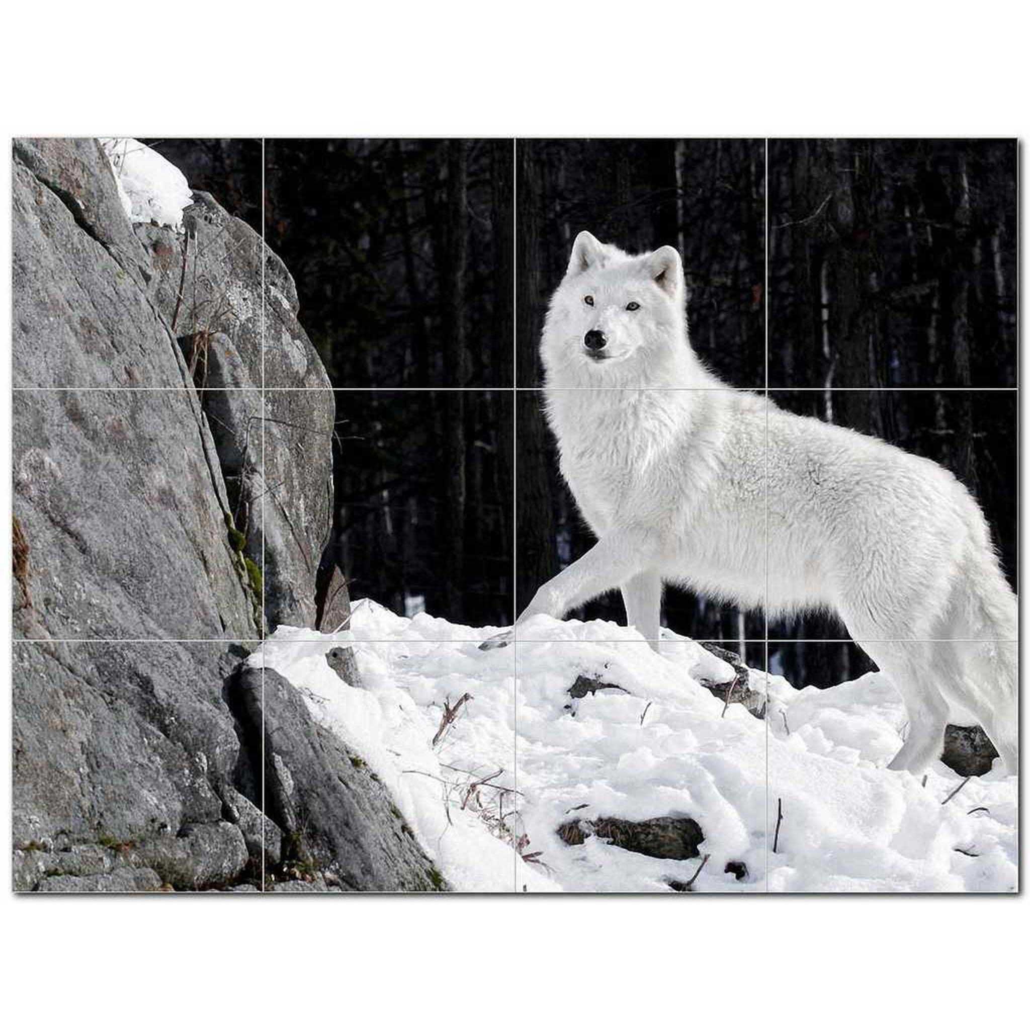 wolf wolves ceramic tile mural kitchen backsplash bathroom shower 403124 xl43 walmart com arctic wolf wolf photography wolf photos