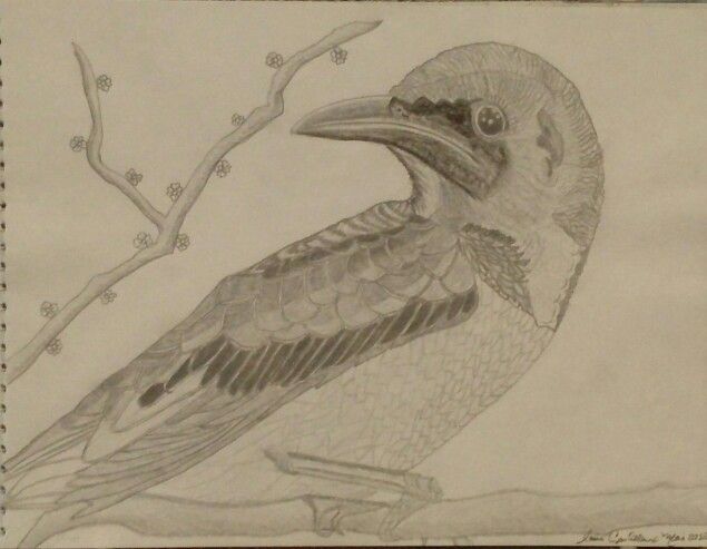 Un Bel Oiseau Que Jai Dessiné à Partir Dune Photo