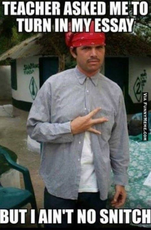 Funny Memes Back To School More Funny Memes Back To School More