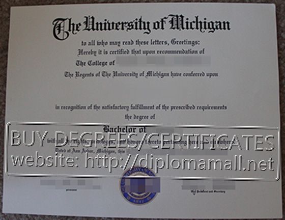 Njcu admissions essay