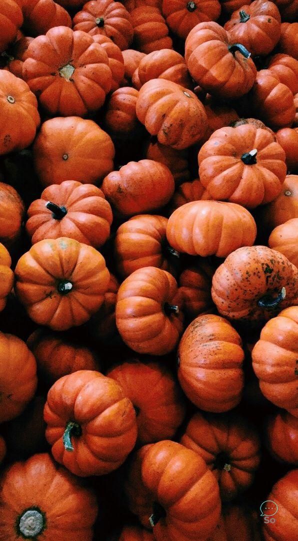 pin ↠ natalyelise7- #natalyelise7 #Pin- pin ↠ natalyelise7 Source by angelfeatherdu3 #autumnscenery