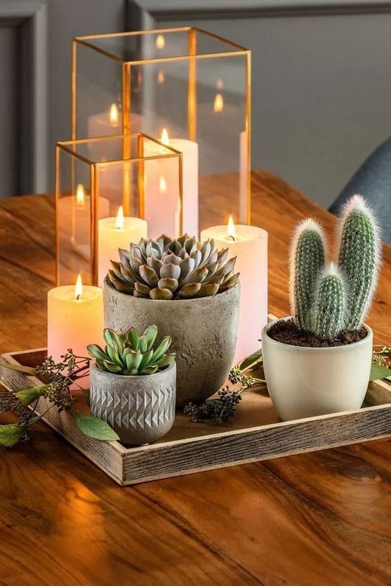 Vous souhaitez apporter une touche exotique ou rehausser le thème de votre appartement ? Alors découvrez, sans plus attendre, comment végétaliser votre intérieur. Rooms Home Decor, Apartment Decor, Bedroom Decor, Decor Room, Apartment Living, Coffee Table Centerpieces, Decorating Coffee Tables, Centerpiece Ideas, Coffee Table Candle Decor