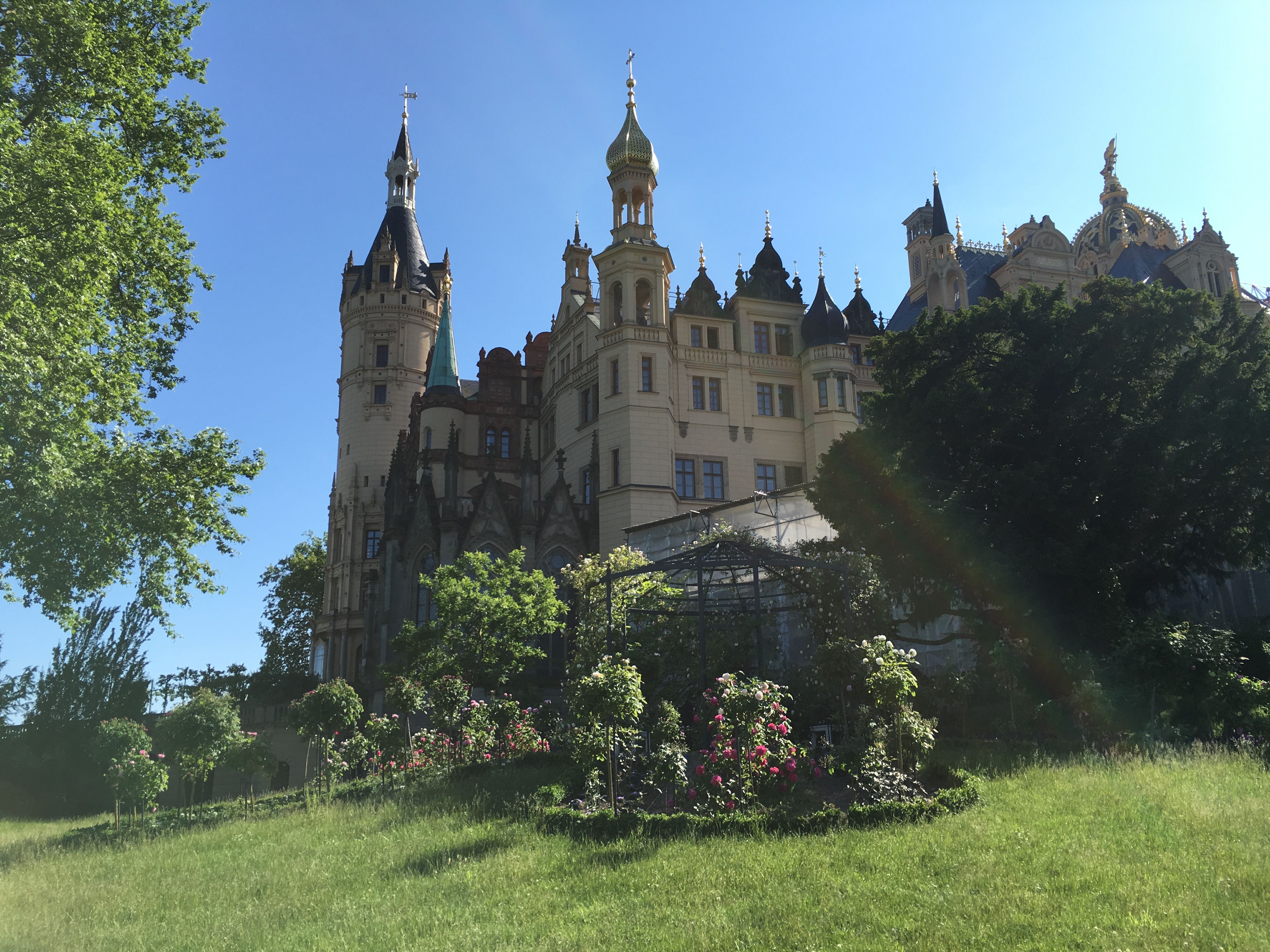 Single schwerin