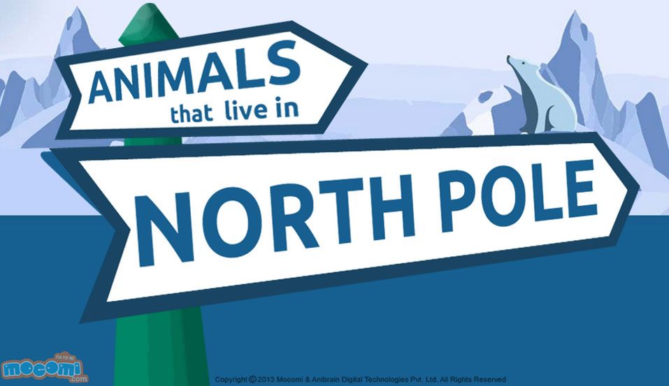 Polar Animals, Polar Bear, Articles For Kids, Fun Facts For Kids, Lemming, Arctic Fox, Caribou, North Pole, General Knowledge
