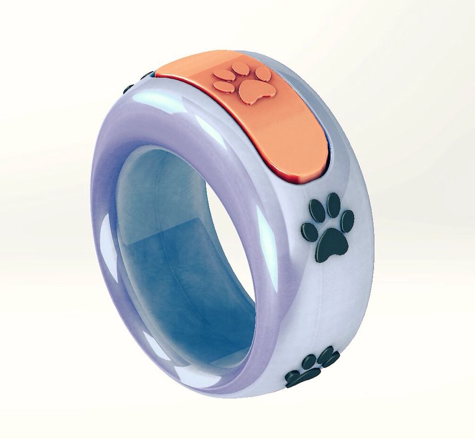 Original Concept Art For Clicker Training Ring With Images Dog