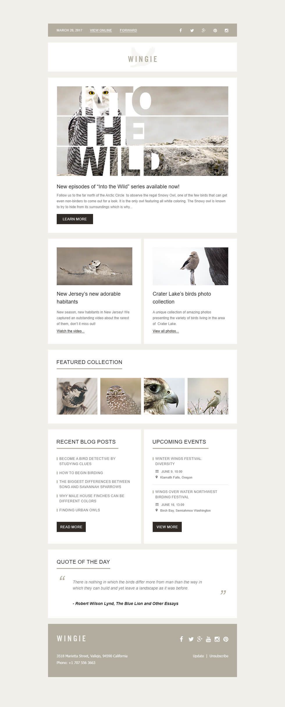 Gisi Web Design By Sam2305 Web Design Page Design Web Design Inspiration