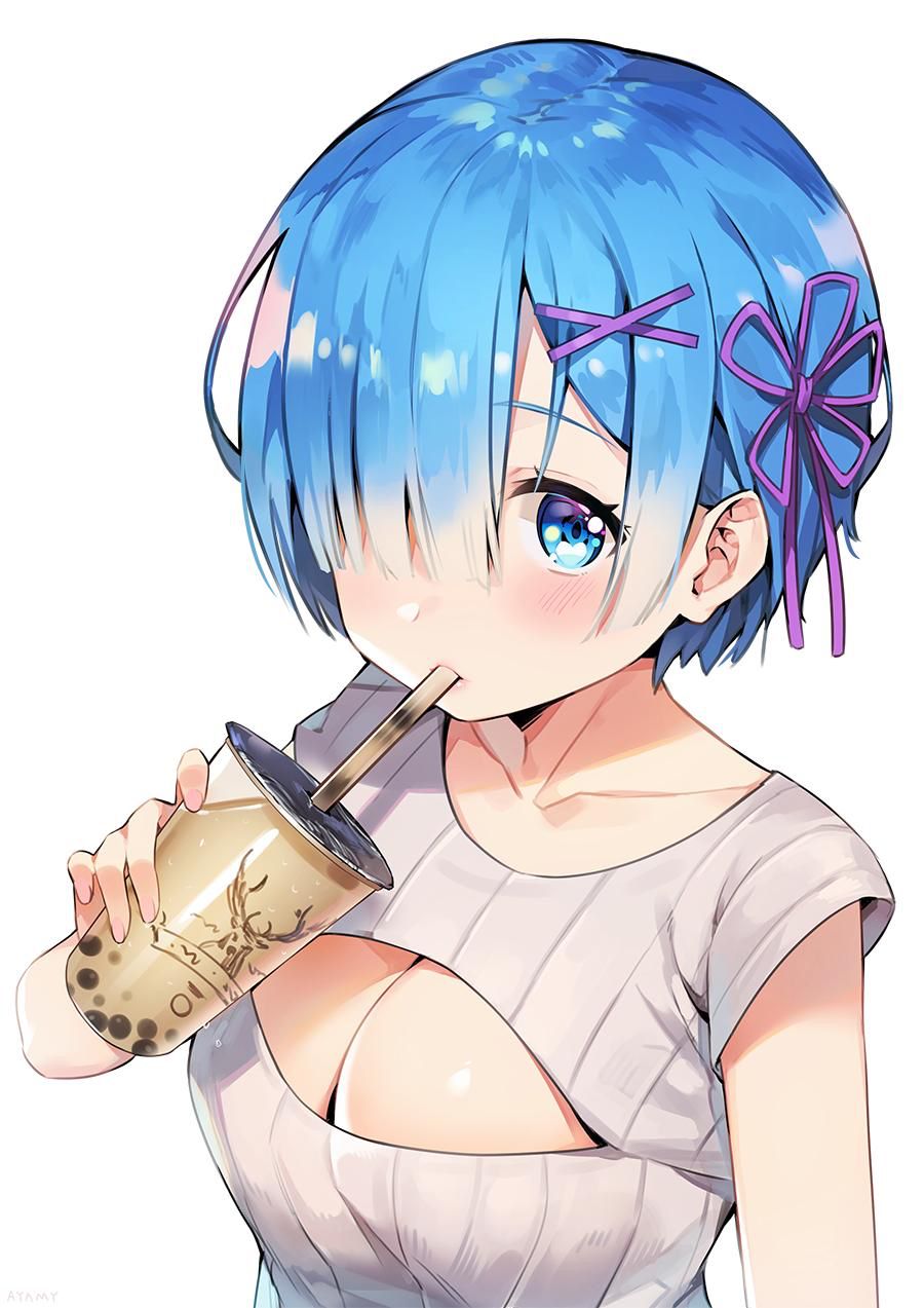 Re Zero Rem Re Zero Rem