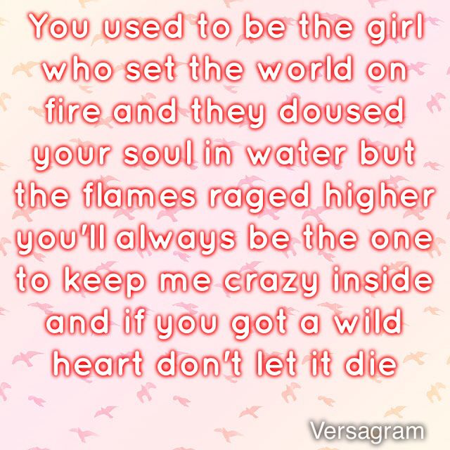 wild heart lyrics wild heart lyrics