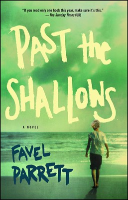 the shallows book the shallows book