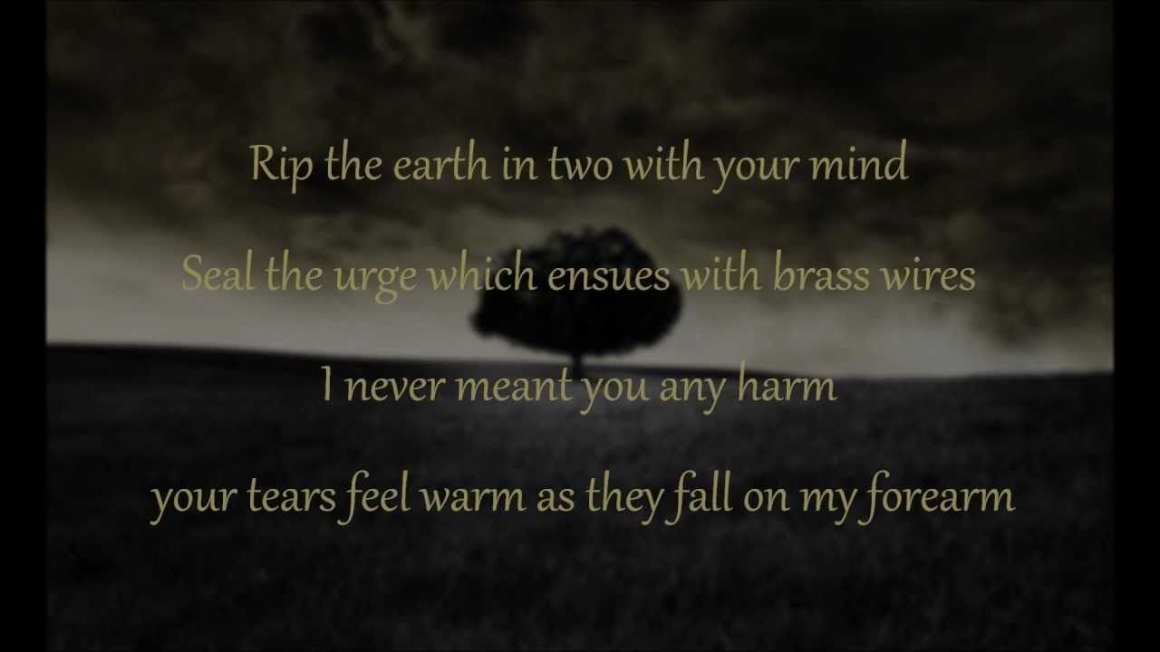 Mumford & Sons I gave you all (lyrics) All lyrics, Mumford & sons