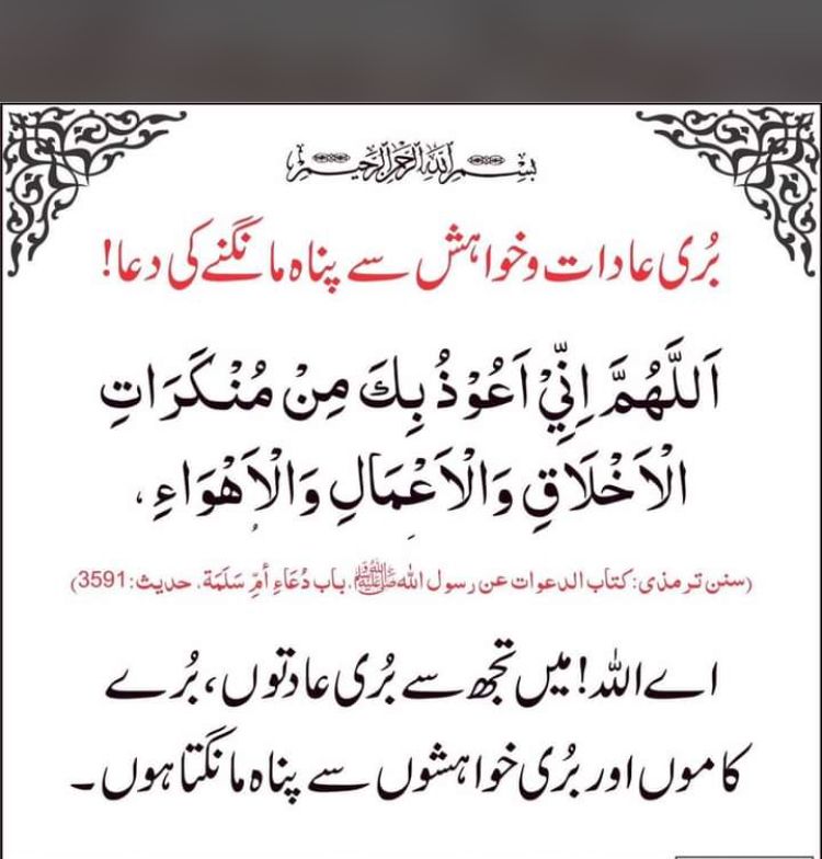 Hassan Islamic Dua Beautiful Flowers Islam