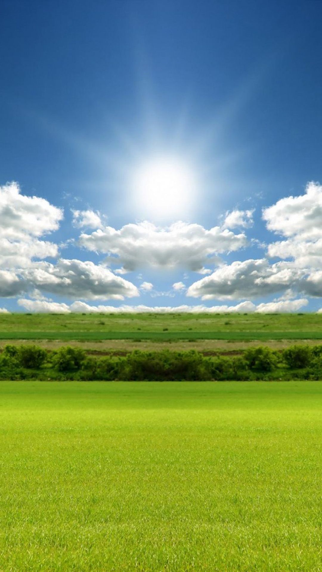Sunlight Nature Green Field Sky #Iphone #6 #Plus #Wallpaper Sunlight Nature Green Field Sky #Iphone #6 #Plus #Wallpaper