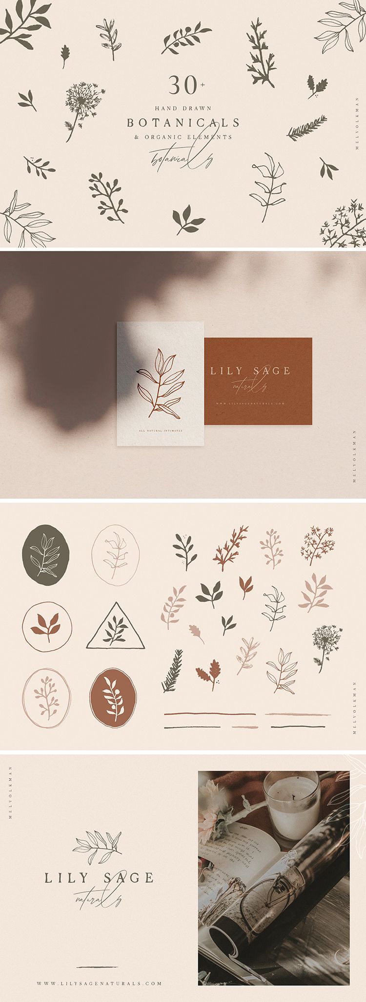 Botanical Illustrations, Patterns, Watercolors from Creative Market