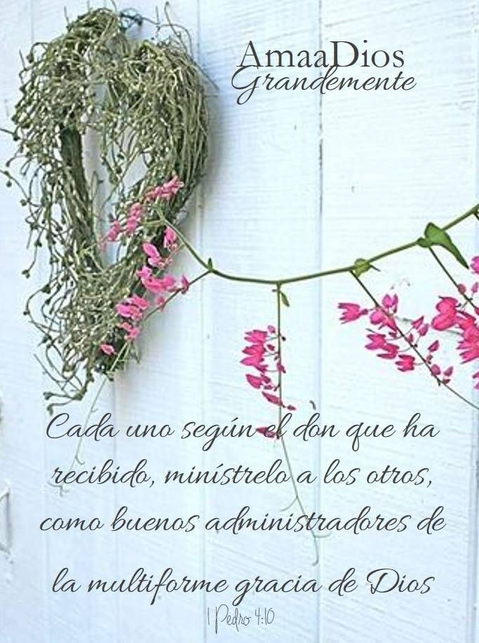 Viernes Sem 6 Mensajes Bíblicos Dios Frases De Bendiciones