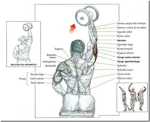 Trabajar triceps con mancuernas