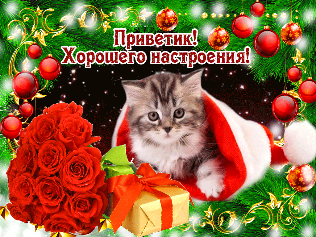 Открытки всем привет и хорошего настроения на целый день, вконтакте прикольные
