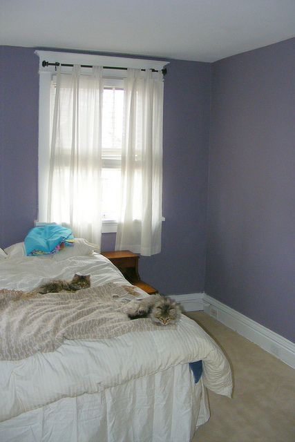 Behr Gothic Amethyst Minimalist Bedroom Design Living Room Paint Bedroom Paint Colors