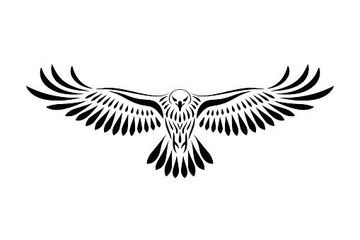 Engraving Of Stylized Hawk Stock Illustration - Download Image Now - iStock Tattoo Drawings, Body Art Tattoos, Small Tattoos, Tattoos For Guys, Sleeve Tattoos, Tattoo Illustrations, Tattoo Aigle, Falke Tattoo, Eagle Wing Tattoos