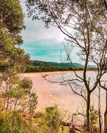 Pearl Beach to Patonga Walk - Central Coast NSW