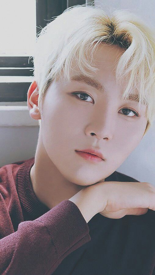 boo seungkwan seungkwan seventeen scoups seventeen boo seungkwan seungkwan seventeen scoups seventeen