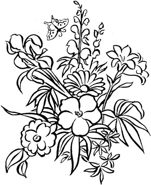 Coloring Pages For Adults PDF Free Download Procoloring Pdf