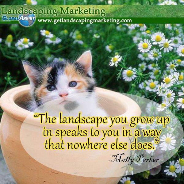 landscaping marketing plan