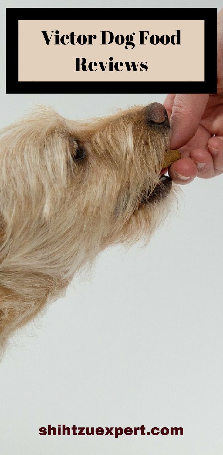 Victor Dog Food Reviews >> Victor Dog Food Reviews By Experts Ratings Recalls History Victor Dog Food Reviews >> Victor Dog Food Reviews By Experts Ratings Recalls History