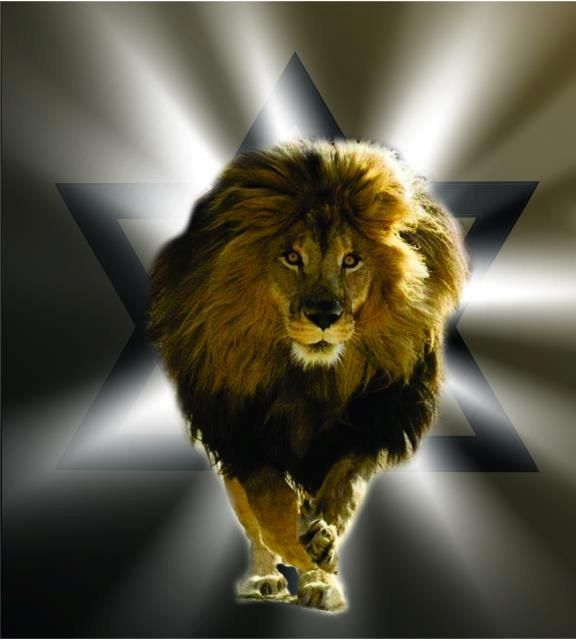The Lyon Of Judah The Lion Of Judah Was The Symbol Of The Israelite Tribe Of Judah In The Book