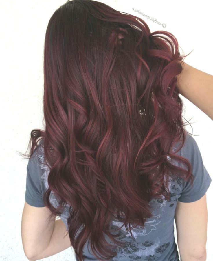 Dark Brown Burgundy Hair Color, (With images) Red hair