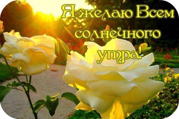 Доброе утро мои родные люди открытка