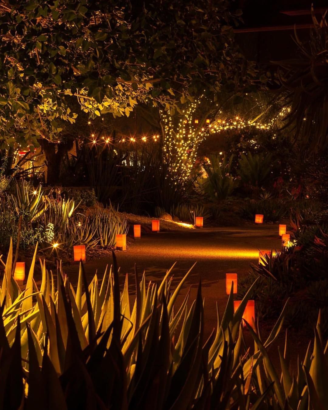 ‘Tis the season to make plans for the holiday tradition of Las Noches