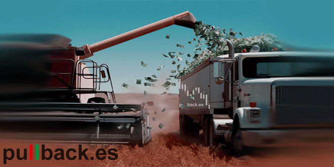 Df forex