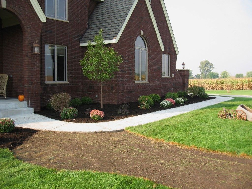 This tree is the perfect addition for the front entrance