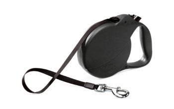 Top 12 Best Retractable Dog Leash Reviews (Buyer's Guide