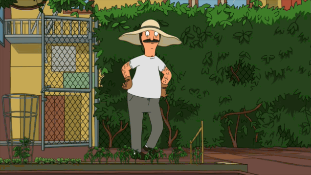Image result for bob burger gif