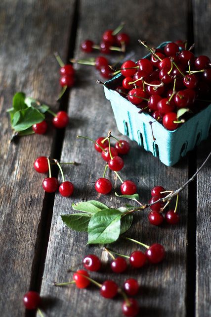 Sour Cherry