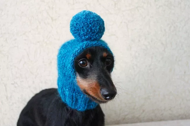 Blue Dog Hat pattern by Valya Boutenko #dogcrochetedsweaters