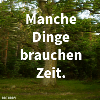Manche Dinge brauchen Zeit. Nathan9 Lockscreen, Lockscreen screenshot