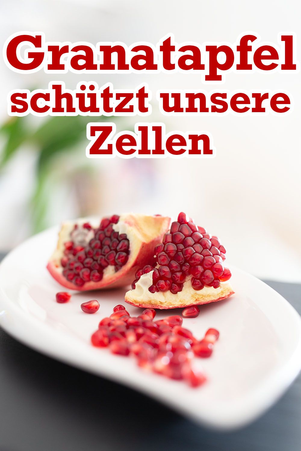 Der Granatapfel (punica granatum) ist ein Weiderichgewächs und uns allen hauptsächlich als leckere, säuerliche Frucht bekannt, jedoch ist er äußerst gesund und stärkt nicht nur unser Immunsystem, sondern wird auch vermehrt in der Hautpflege eingesetzt. Gäbe es eine Anti-Agigng Frucht, wäre es für mich der Granatapfel. Seine antioxidative Wirkung ist viel höher als bei Trauben, Blaubeeren, grünem Tee oder Rotwein. Viele weitere Infos rund um das Thema Granatapfel, findest du im Blogbeitrag! Diy Food, Benefit, Waffles, Clean Eating, Meat, Breakfast, Gluten Free Recipes, Healthy Recipes, Healthy Groceries