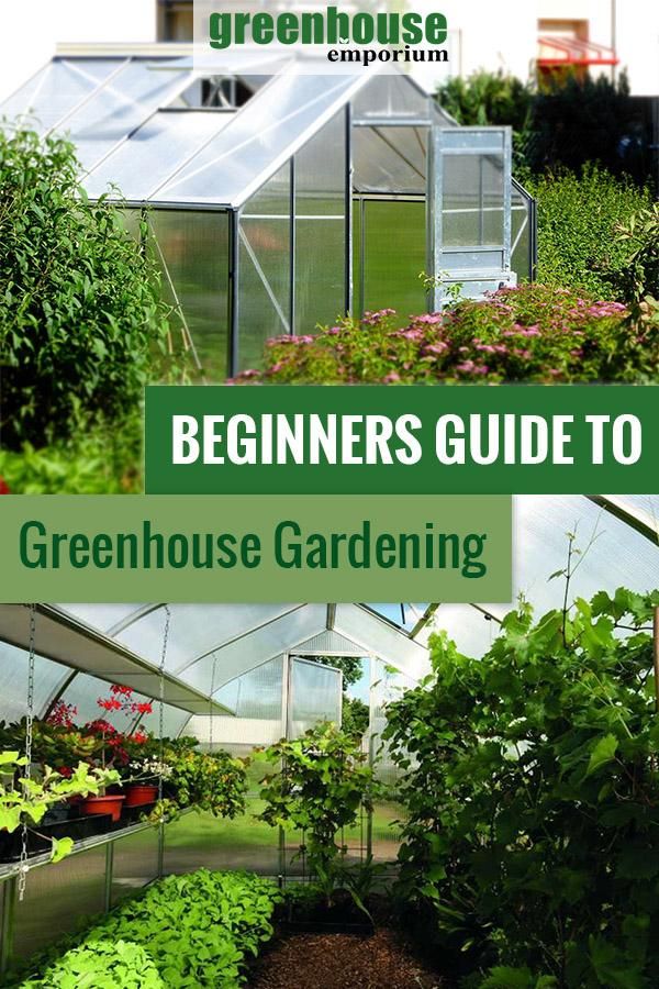 Do you want to start growing plants in a greenhouse? Or did you just purchase a greenhouse? Then start here with this guide to greenhouse gardening for beginners! #greenhouses #gardening #greenhousegardening #101 #beginners #starter Diy Greenhouse Plans, Backyard Greenhouse, Greenhouse Growing, Small Greenhouse, Backyard Garden, Indoor Garden, Greenhouse Wedding, Garden Tips, Greenhouse Vegetables