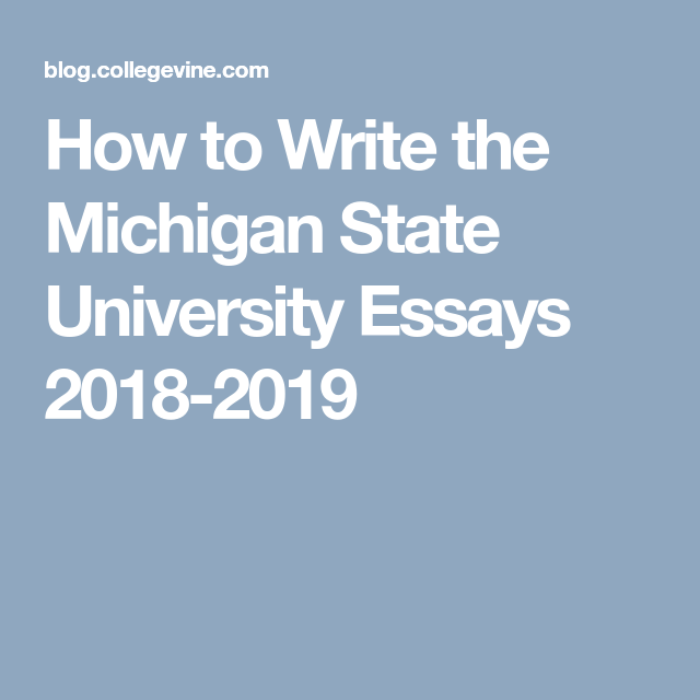 Michigan state university application essay