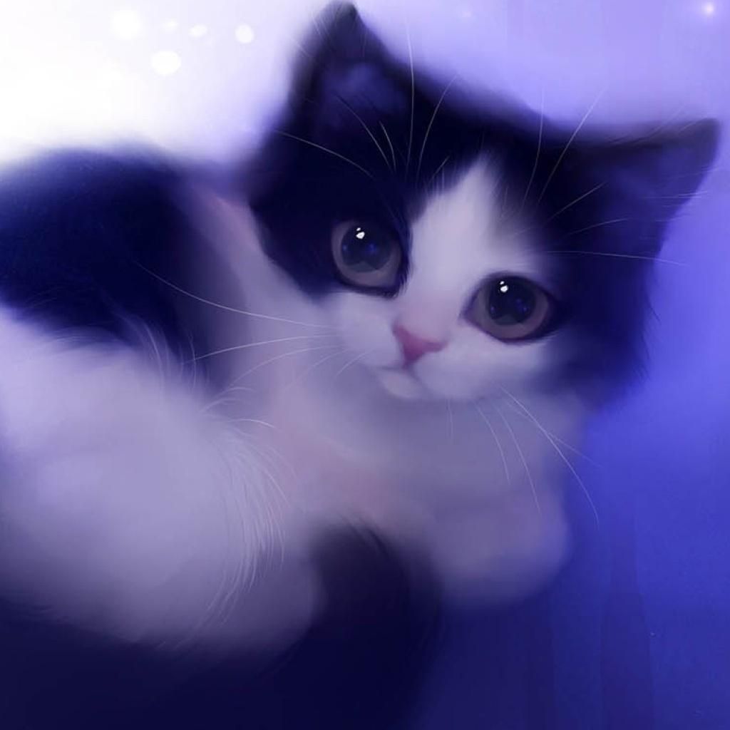 Tiger White Cute Cat Wallpaper Kitten Images Cute Animals