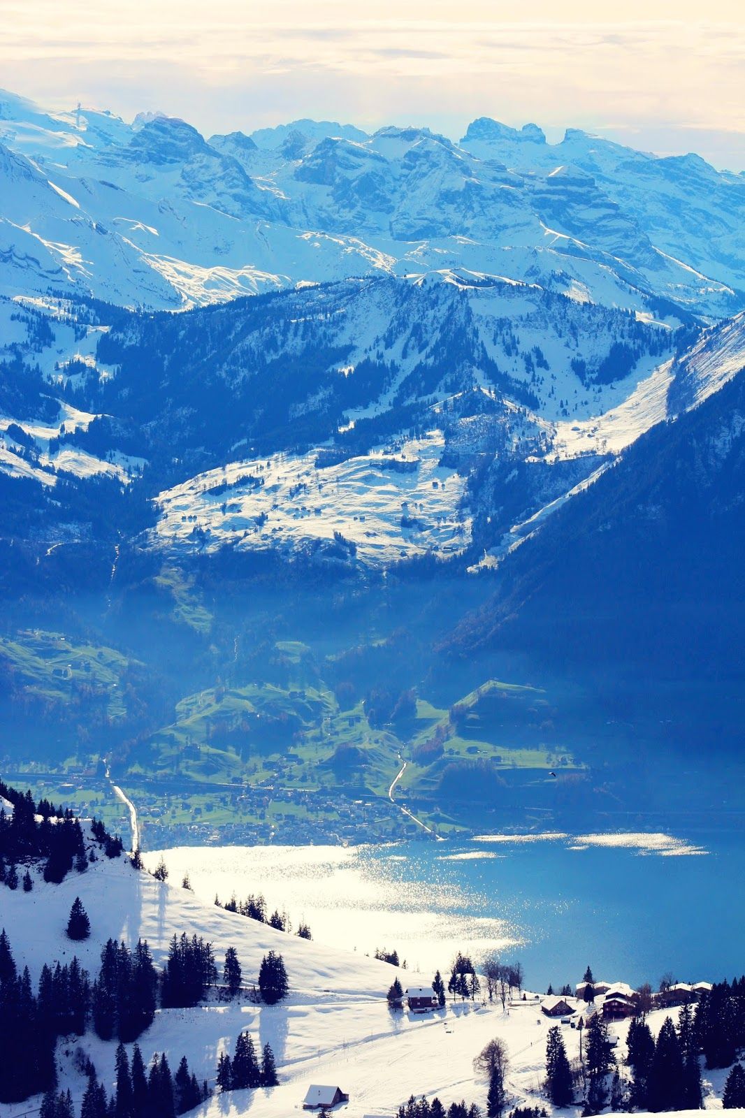 the swiss alps mt