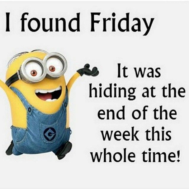 funny minion quotes tumblr Google Search Funny minion funny minion quotes tumblr Google Search Funny minion