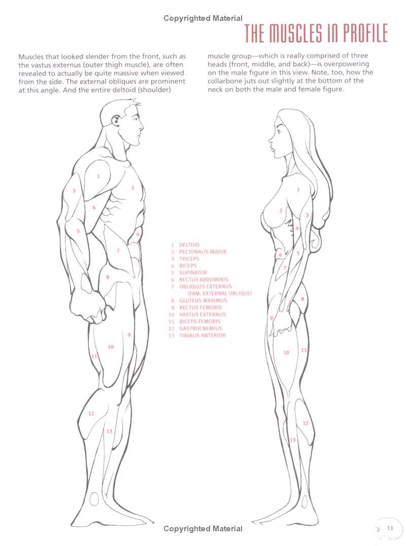Anatomy & Physiology Books