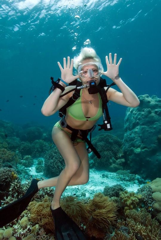 Scuba diving sexy women seems Scuba diving sexy women apologise